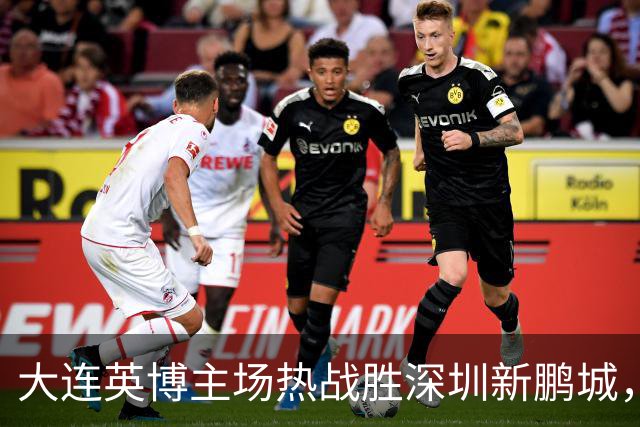 大连英博主场热战胜深圳新鹏城，冠军悬念依旧